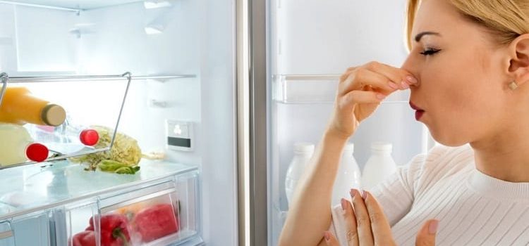 Почему холодильник не морозит?